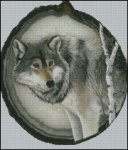 (image for) Wolf Study